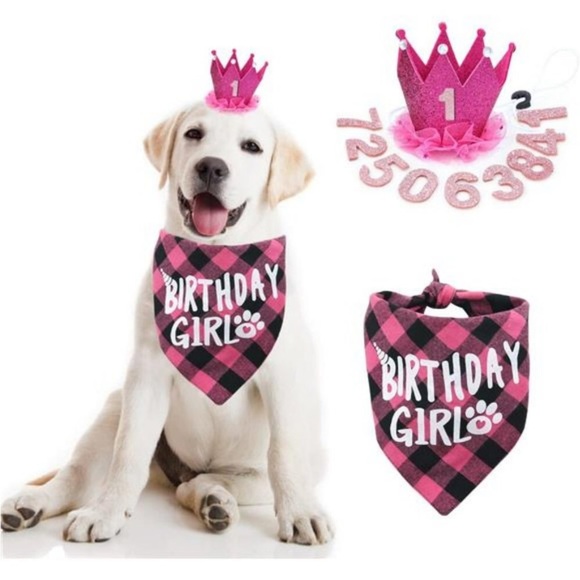 Dog Pink Dog Bandana For Girl Dog Birthday Hat Scarf With Number Dog